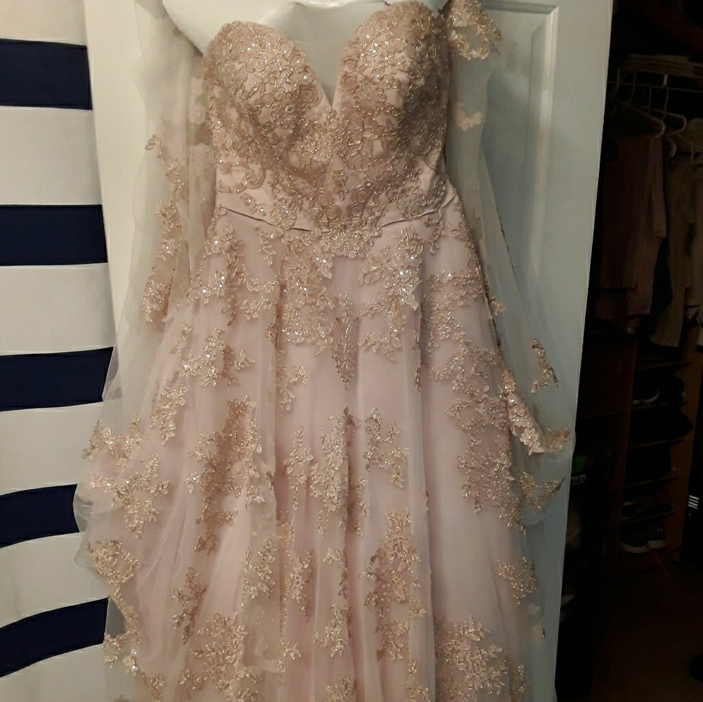 Blush/ Rose Gold Wedding Dress